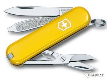 Scyzoryk Victorinox Classic SD Sunny Side 0.6223.8.jpg