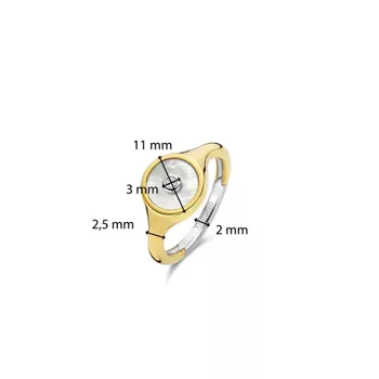 Damski pierścionek pokryty złotem TI SENTO 12296MW Damski sygnet z masą perłową i cyrkonią  Srebrne Pierścionki Damskie w Sklepie z Biżuterią zegarki-diament.pl✓Piękne i Eleganckie Pierścionki dla Kobiet✓Prawdziwe Srebro✓Dar (3).webp