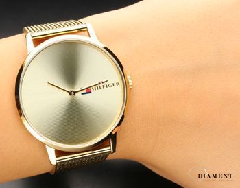 Tommy hilfiger alex 1781972 discount