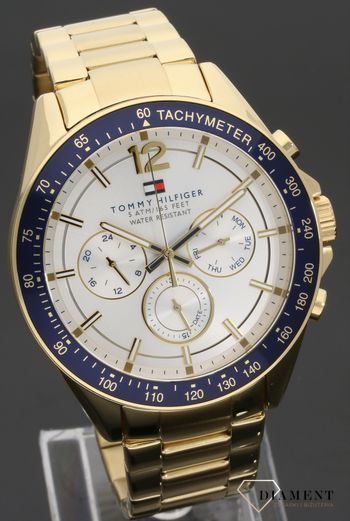 tommy hilfiger 1791121 watch