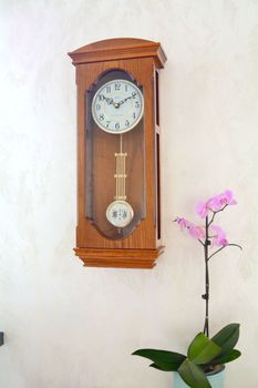 Zegar ścienny drewniany wiszący Adler 20039 dąb. Zegar ścienny do salonu. Dębowy zegar. Zegar Adler wykonany z wysokiej jakości drewna w kolorze dębowym (7).JPG