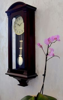 Zegar ścienny z wahadłem Adler 20128W ✓Zegary ścienne✓Zegary szafkowe ✓ Drewniany zegar✓  Autoryzowany sklep (6).JPG