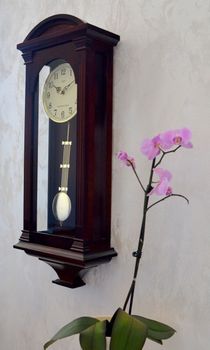 Zegar ścienny z wahadłem Adler 20128W ✓Zegary ścienne✓Zegary szafkowe ✓ Drewniany zegar✓  Autoryzowany sklep (7).JPG