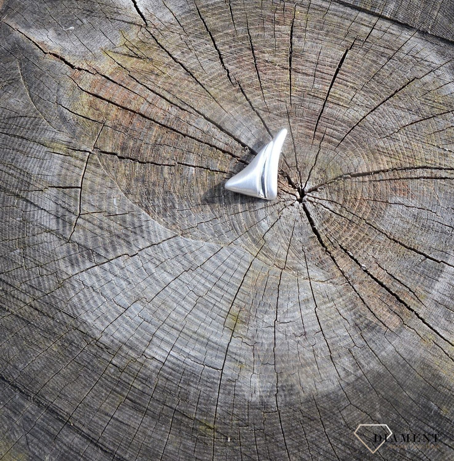 Srebrna broszka mat z połyskiem 273128020560.jpg