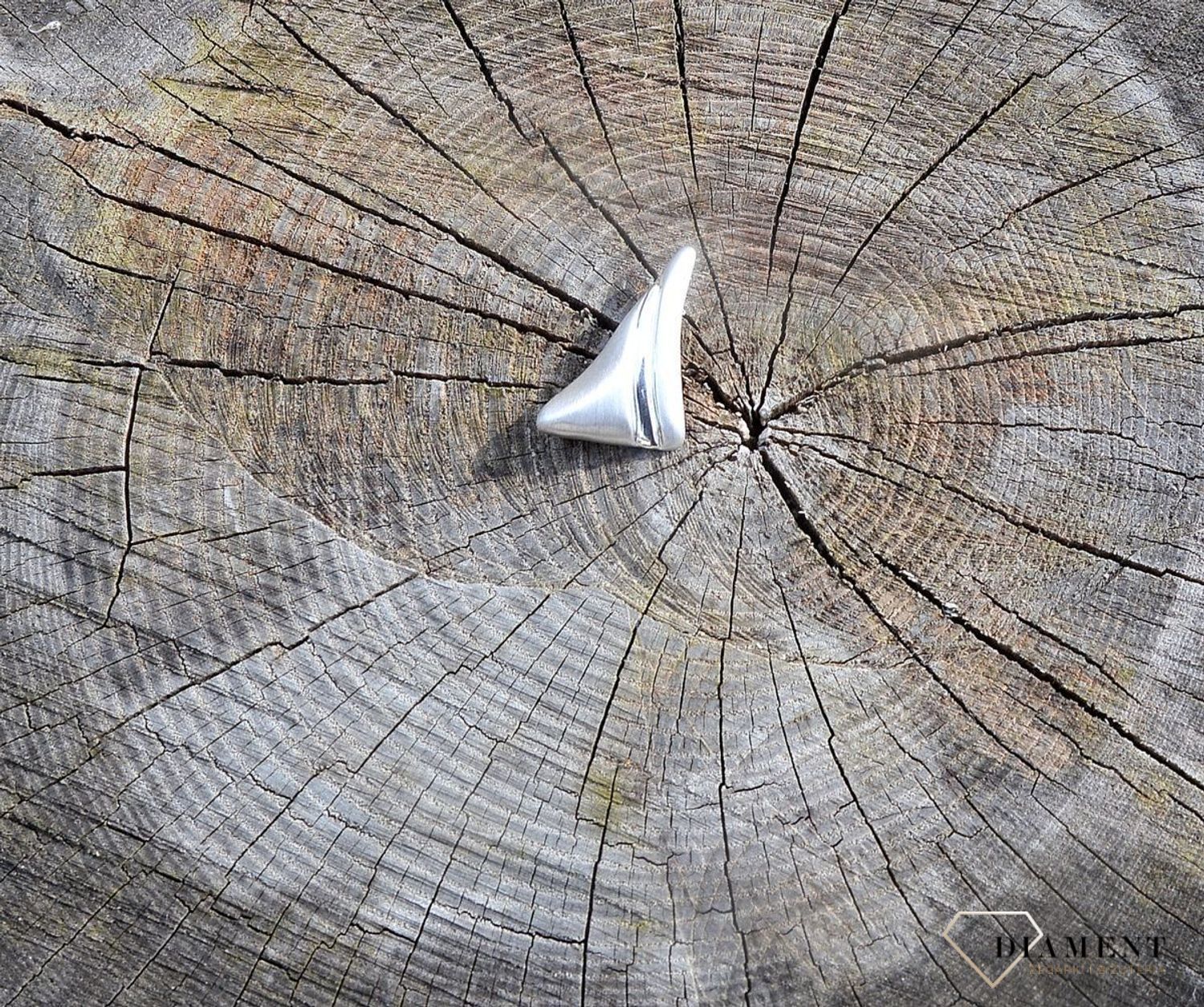 Srebrna broszka mat z połyskiem 273128020560.jpg