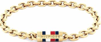 Tommy Hilfiger 2790653 – złota męska bransoletka z kolekcji Bruce Chain. Stal szlachetna, trwała powłoka IP, magnetyczne zapięcie, detale w barwach TH. Nowoczesna elegancja dla 1.jpg