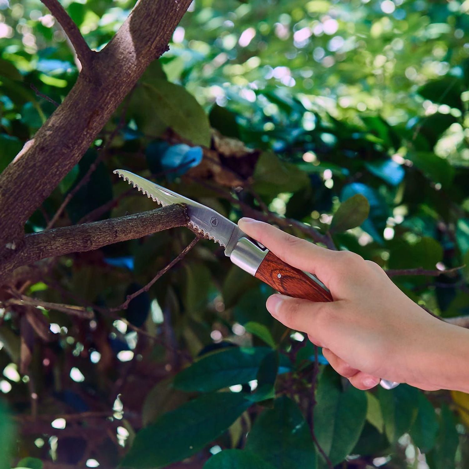 Zestaw ogrodnika Laguiole 2 noże z etui 40268487. Noż dla ogrodnika. Nóż ogrodnika. Prezent dla ogrodnika. Noże z etui. Zestaw prezentowy dla ogrodnika.  (7).jpg