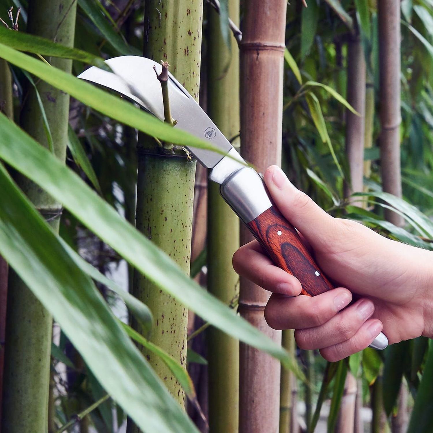 Zestaw ogrodnika Laguiole 2 noże z etui 40268487. Noż dla ogrodnika. Nóż ogrodnika. Prezent dla ogrodnika. Noże z etui. Zestaw prezentowy dla ogrodnika.  (7).jpg