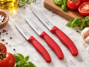 Victorinox Swiss Classic – Zestaw 3 Noży do Warzyw i Owoców (1).jpg