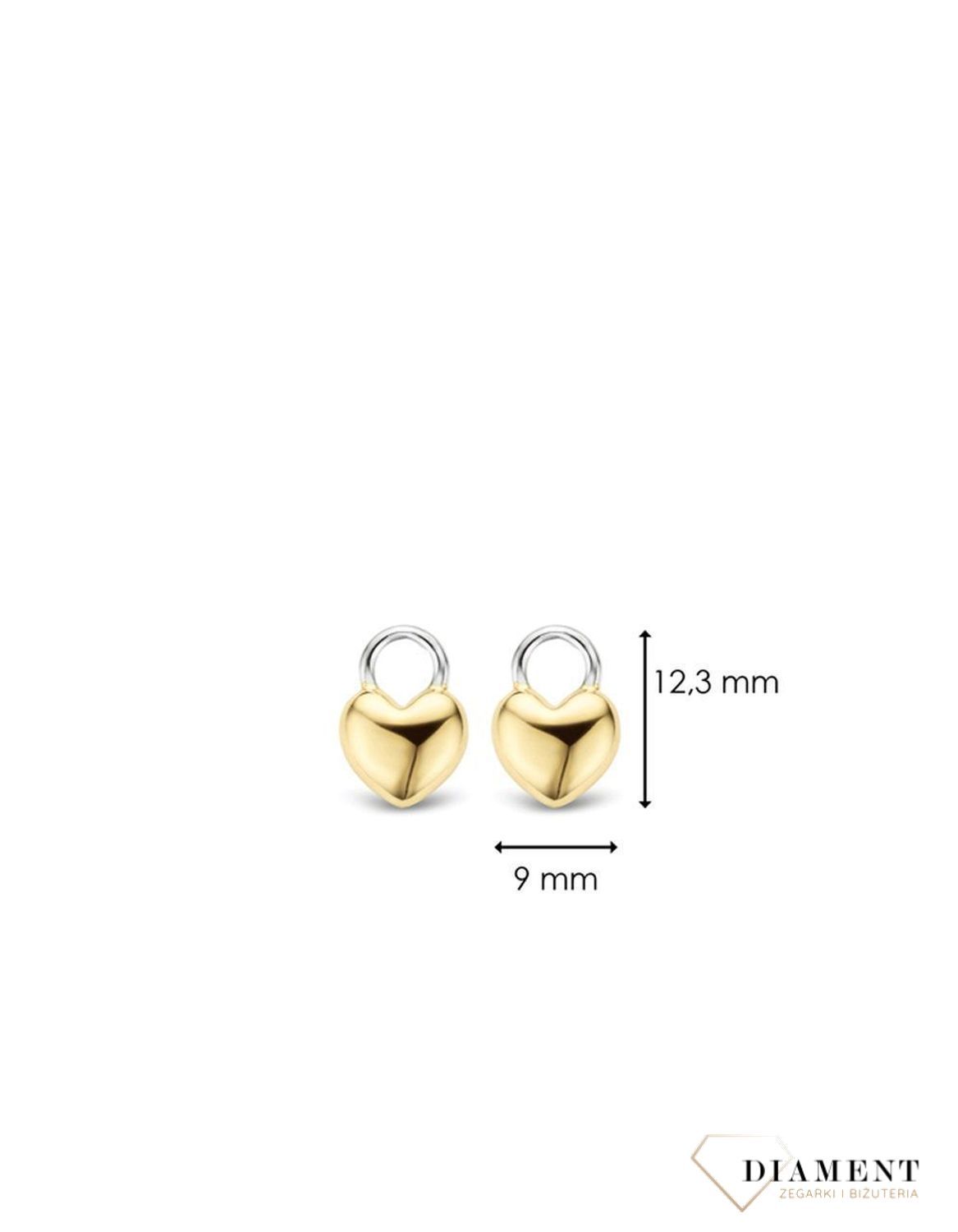 Zawieszka do kolczyków TI SENTO MILANO 9182SY (1).png