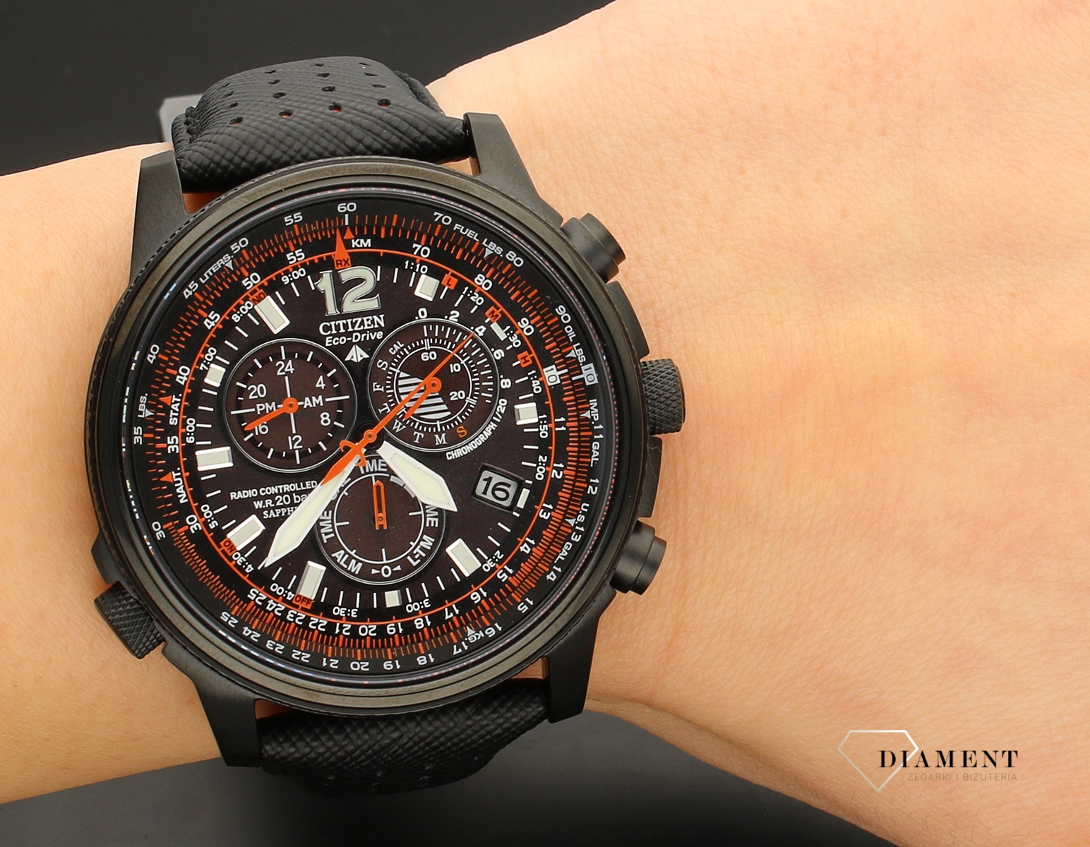 citizen promaster eco drive sky