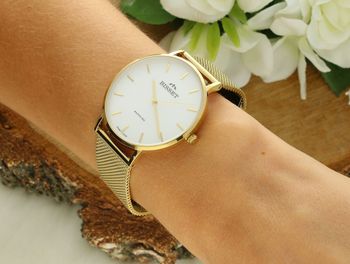 Bisset Brienz BSBF33GISX03B1 – elegancki damski zegarek klasyczny z białą tarczą, złotą kopertą i bransoletką mesh ze stali nierdzewnej. Szkło szafirowe i wodoszczelność 3 ATM.3.jpg
