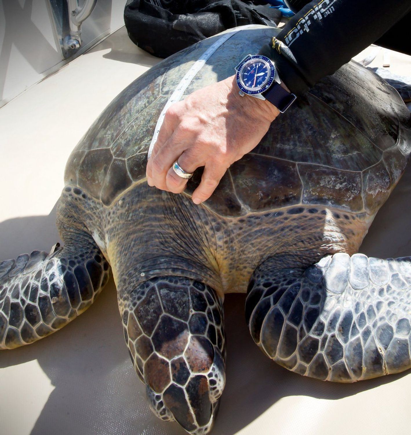 Zegarek męski Certina DS Super PH500M STC Special Edition C037.407.18.040.10. Zegarek męski Certina. Zegarek z bardzo dużą wodoszczelnością. Zegarek dla nurków. Zegarek z wodoszczelnością 500 m!  (4).jpg