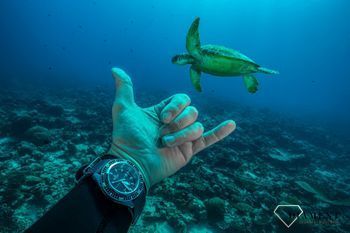 Zegarek męski Certina C037.407.18.050.00 pasku parcianym, który powstał z recyklingu 🐢 Chrońmy morza i oceany🌊  (2).jpg