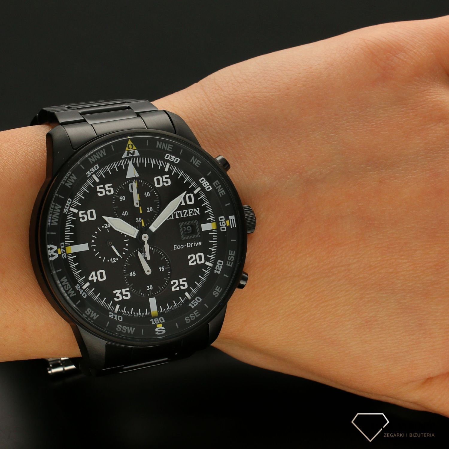 citizen aviator