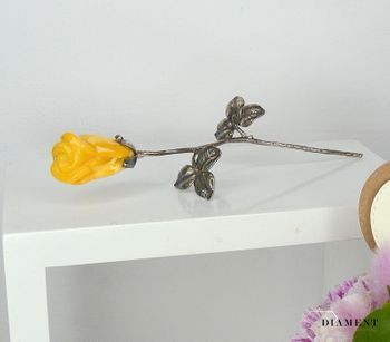 DSC_6257.JPG