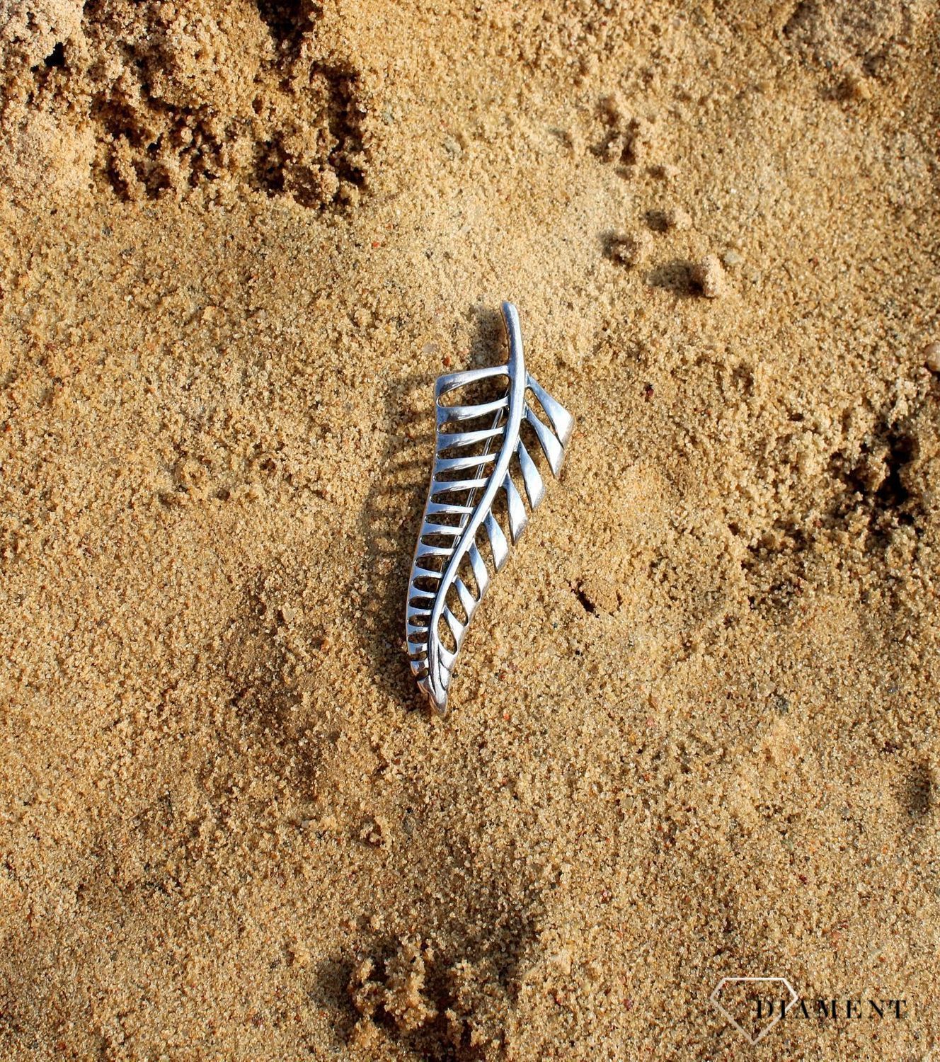 Srebrna broszka gładki liść paproci DIA-BRO-3348-925.jpg