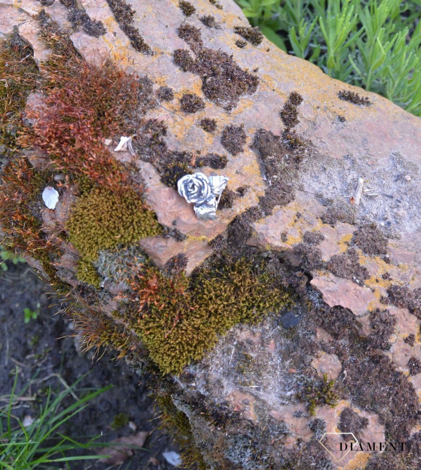 Srebrna broszka w kształcie Róży DIA-BRO-3349-925.jpg