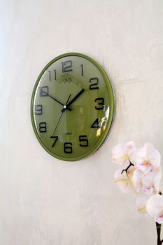 zielony zegar ścienny JVD HX2472.12 z cichym mechanizmem kwarcowym i płynącym sekundnikiem. Wypukłe szkło (1).JPG