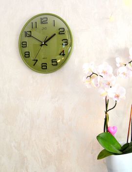 zielony zegar ścienny JVD HX2472.12 z cichym mechanizmem kwarcowym i płynącym sekundnikiem. Wypukłe szkło (2).JPG