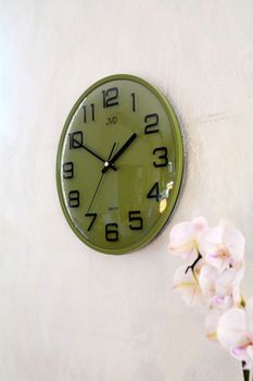 zielony zegar ścienny JVD HX2472.12 z cichym mechanizmem kwarcowym i płynącym sekundnikiem. Wypukłe szkło (4).JPG