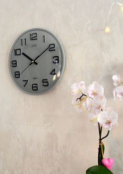 Nowoczesny szary zegar ścienny JVD HX2472.13 z cichym mechanizmem kwarcowym i płynącym sekundnikiem. Wypukłe szkło (2).JPG