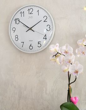 Zegar JVD HX8016.1 – biały, 30 cm, cichy mechanizm z płynącym sekundnikiem. Wypukłe szkło (1).JPG