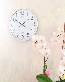 Zegar JVD HX8016.1 – biały, 30 cm, cichy mechanizm z płynącym sekundnikiem. Wypukłe szkło (3).JPG