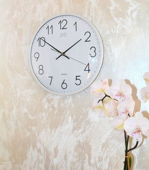 Zegar JVD HX8016.1 – biały, 30 cm, cichy mechanizm z płynącym sekundnikiem. Wypukłe szkło (4).JPG