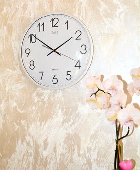 Zegar JVD HX8016.1 – biały, 30 cm, cichy mechanizm z płynącym sekundnikiem. Wypukłe szkło (6).JPG