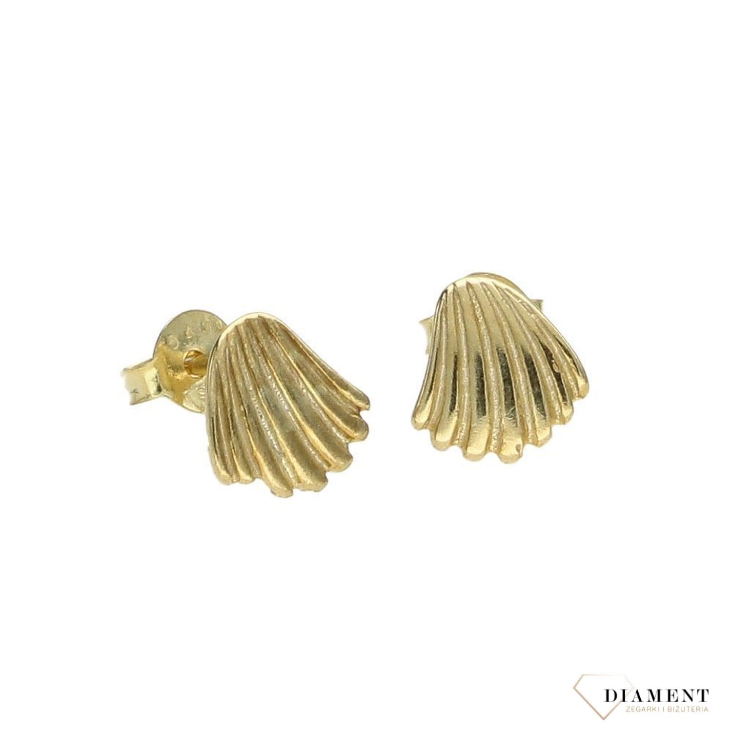 Kolczyki srebrne pozłacane muszelki DIA-KLC-1EA79503Y-925✅ Srebrne kolczyki pokryte złotem celebrytki. ✅ Delikatne kolczyki wykonane z najwyższej jakości srebrna próby 925. ✅ Kolczyki w minimalistycznym stylu, wpisujące s.jpg