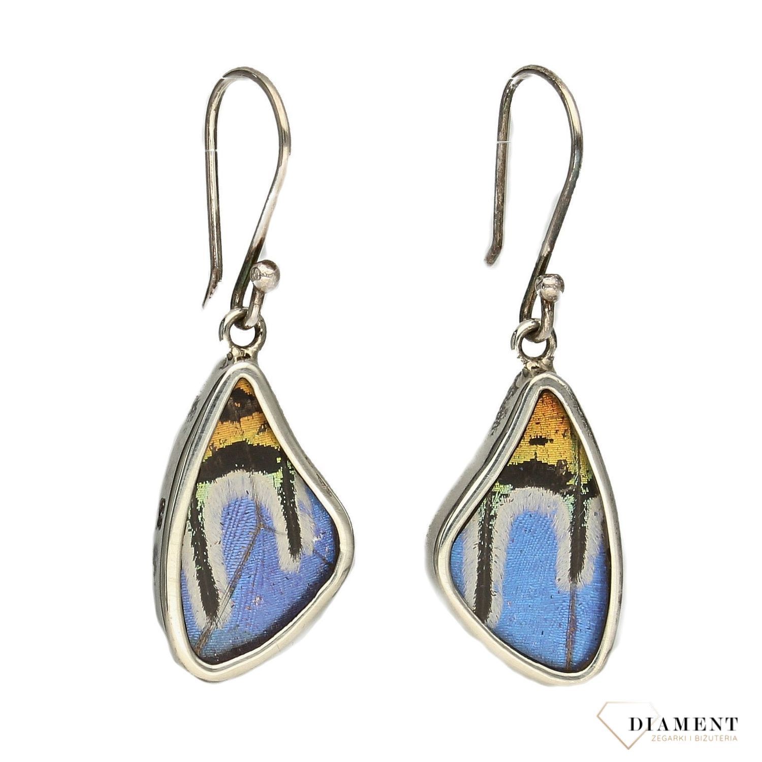 Kolczyki srebrne skrzydła motyla DIA-KLC-2486-925 to propozycja od sklepu jubilerskiego Diament.jpg