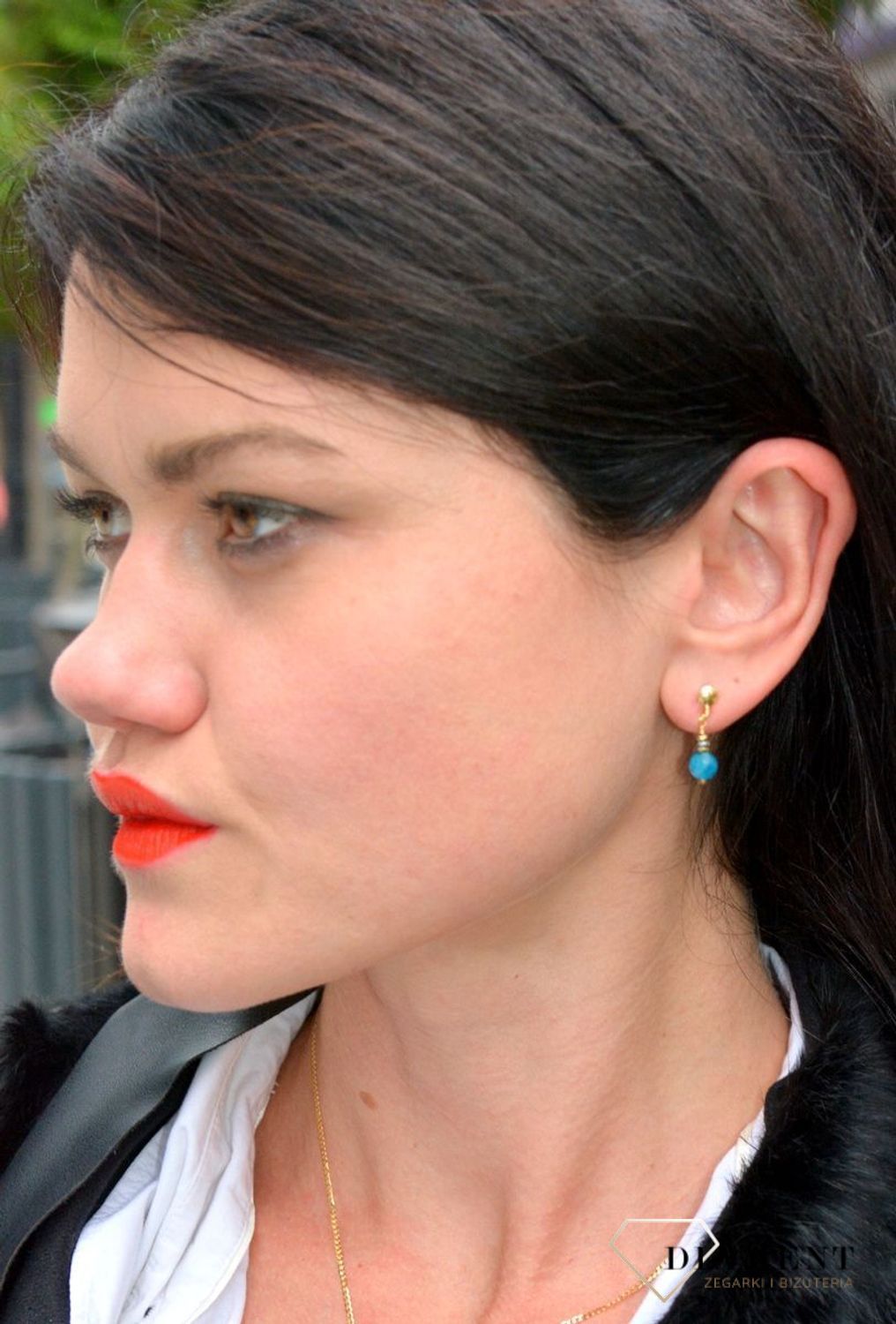 Srebrne kolczyki z kamieniami naturalnymi lapatyt i hematyt tytanowany DIA-KLC-4087-925.jpg