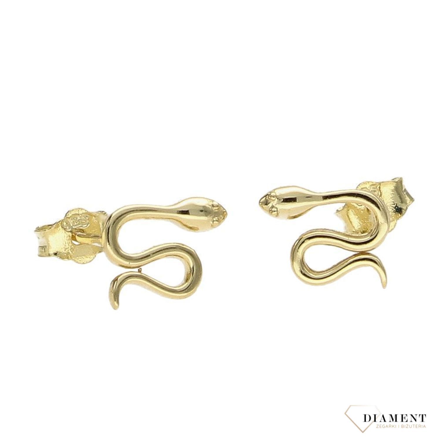 Kolczyki srebrne pozłacane małe węże na sztyft DIA-KLC-AE8745-925 ✅ Srebrne kolczyki pokryte złotem celebrytki. ✅ Delikatne kolczyki wykonane z najwyższej jakości srebrna próby 925✅ Kolczyki w minimalistycznym stylu, wpis.jpg