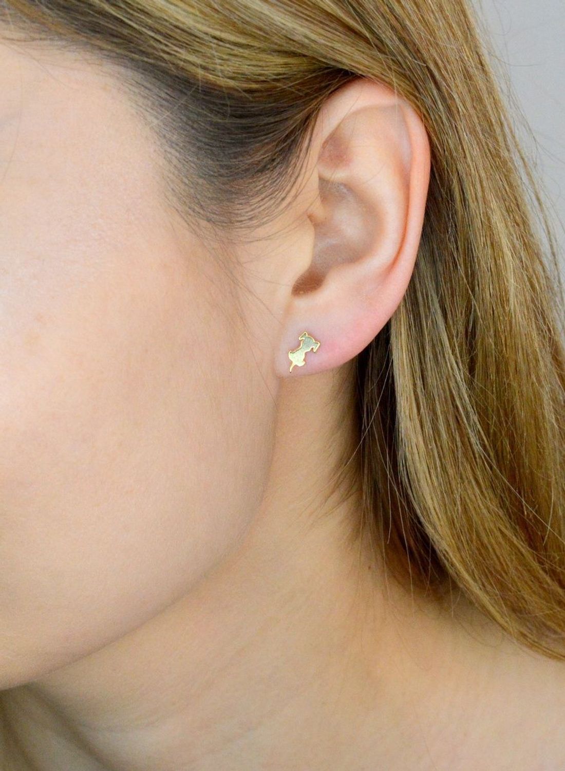 Srebrne kolczyki damskie 925 wkrętki pozłacane pieski DIA-KLC-KSR044G-925. Kolczyki srebrne wkrętki. Kolczyki srebrne blaszki. Srebrne kolczyki na sztyft. Kolczyki dziecięce pieski pozłacane na prezent..jpg