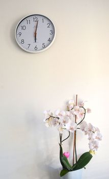 Zegar JVD RH502.3 – biały, 30 cm, sterowany radiowo, płynny sekundnik i synchronizacja sygnałem radiowym. Nowoczesny i czytelny zegar ścienny (1).JPG