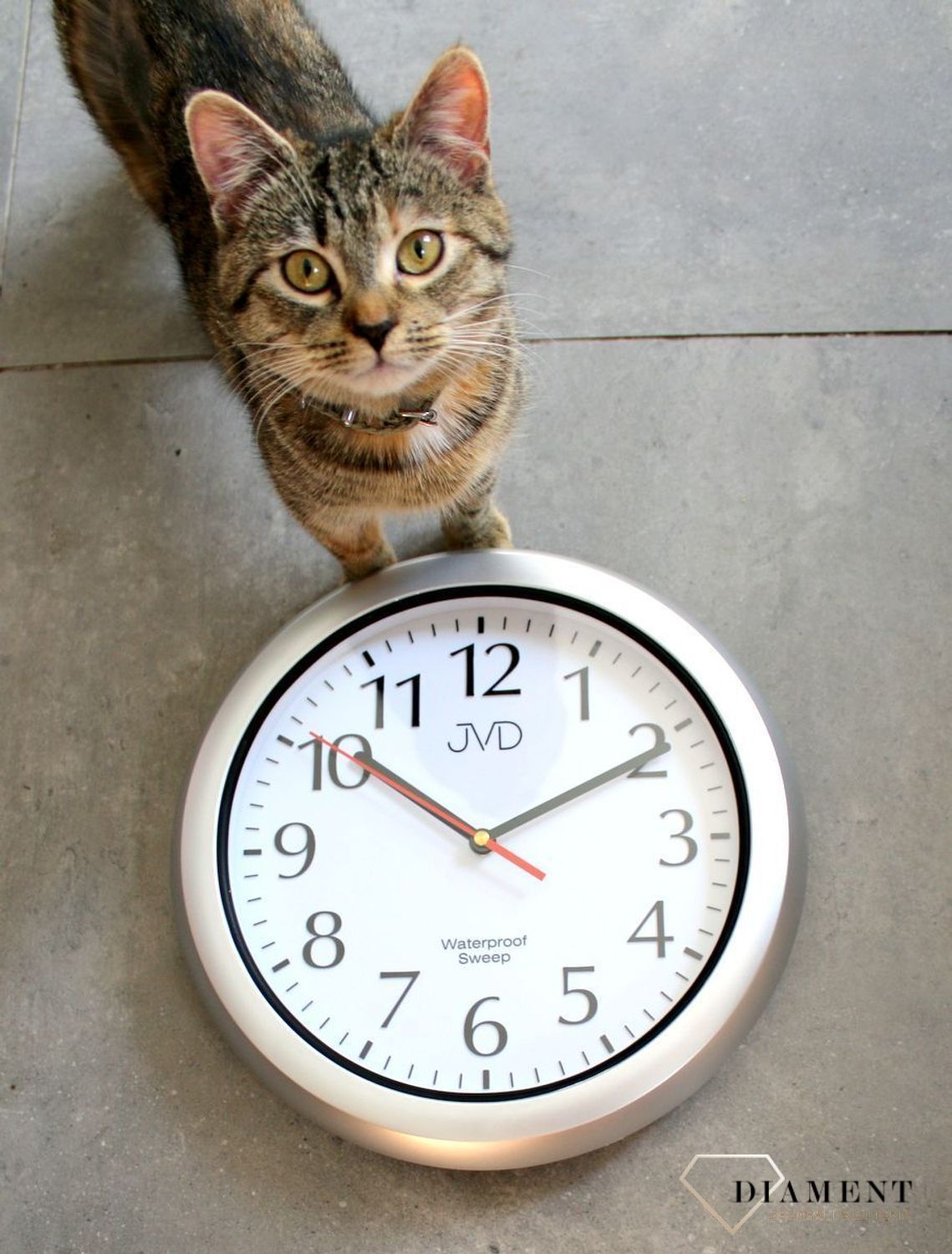 Zegar ścienny wodoszczelny JVD SH494.1.jpg