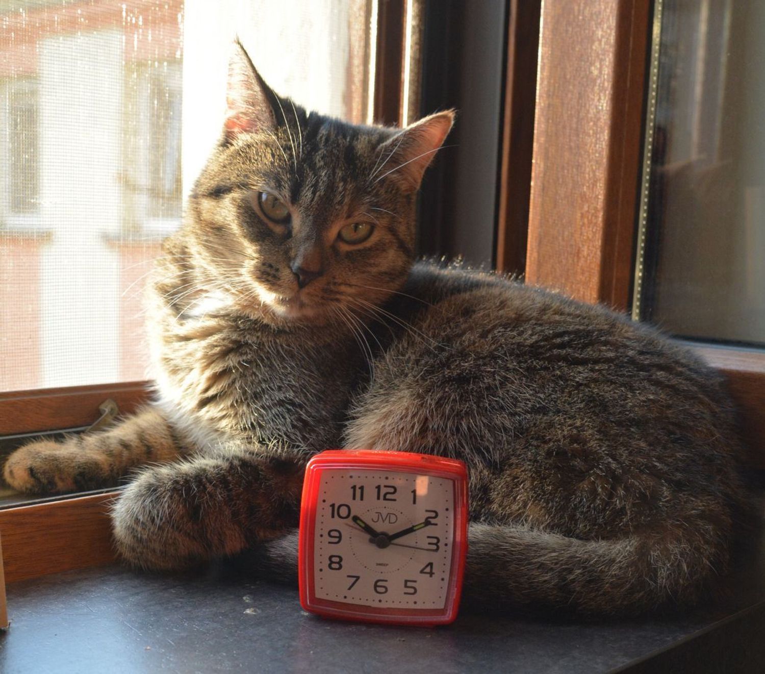 Budzik klasyczny JVD cichy mechanizm drzemka SRP28.2 czerwony.  Budzik klasyczny JVD. Klasyczny budzik srebrny. Budzik kwadratowy z cichym mechanizmem. Mały budzik z drzemką..jpg