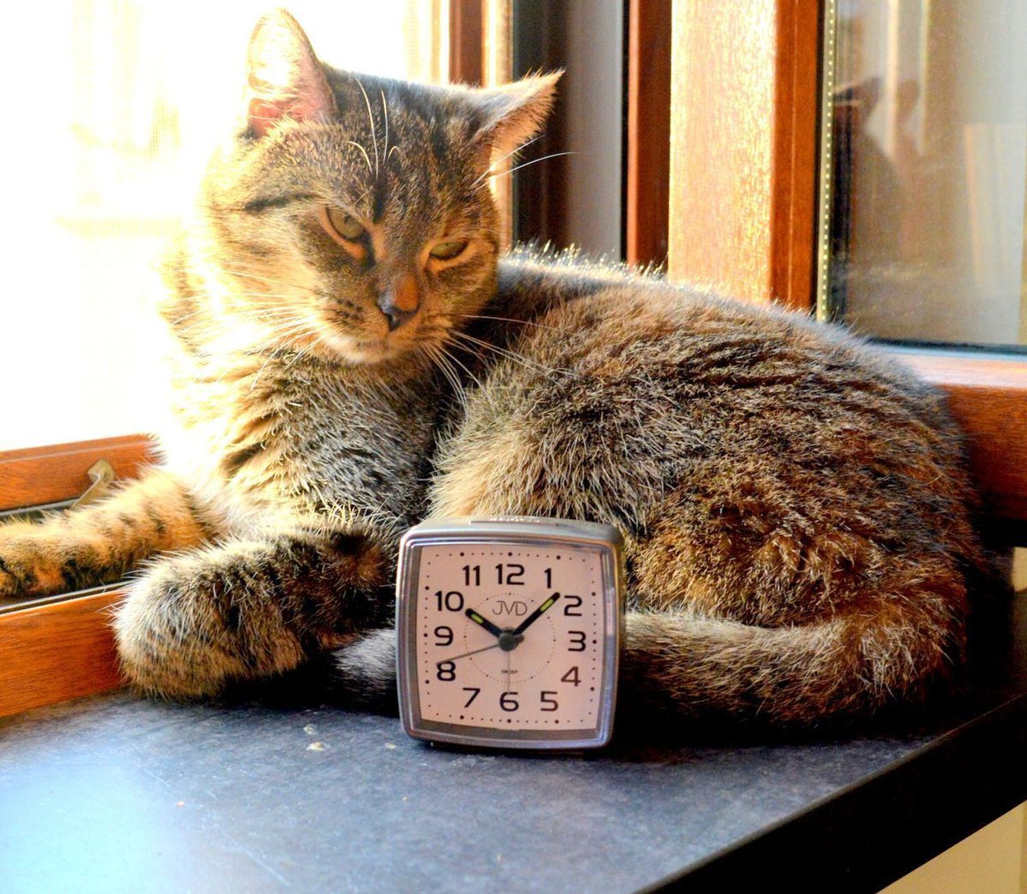 Budzik klasyczny JVD cichy mechanizm drzemka SRP28.4 szary.jpg