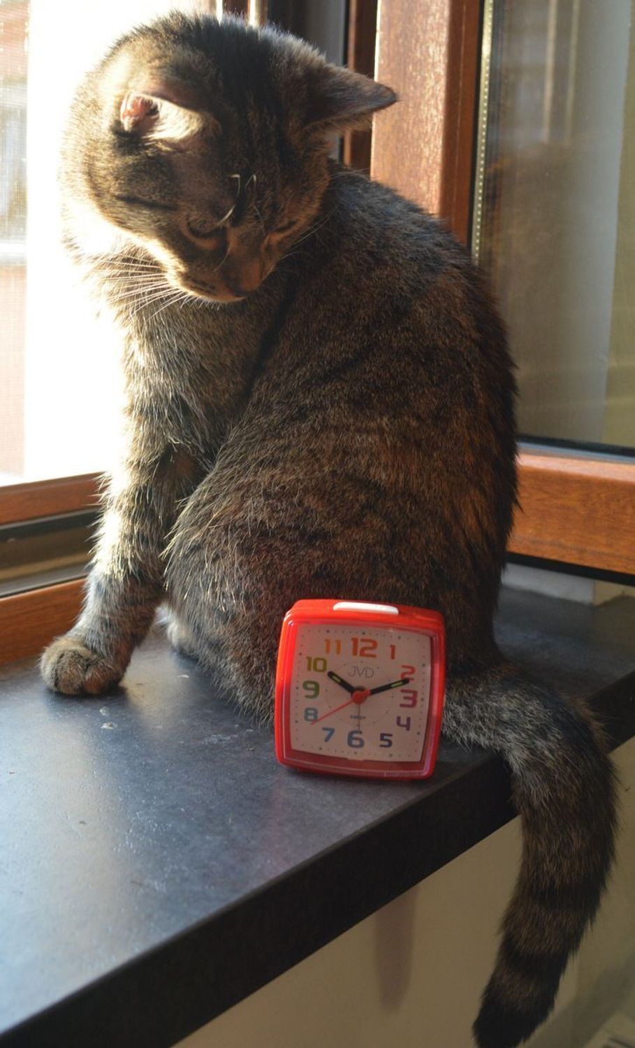 Budzik dziecięcy JVD cichy mechanizm kolorowe cyfry SRP2811.2.jpg