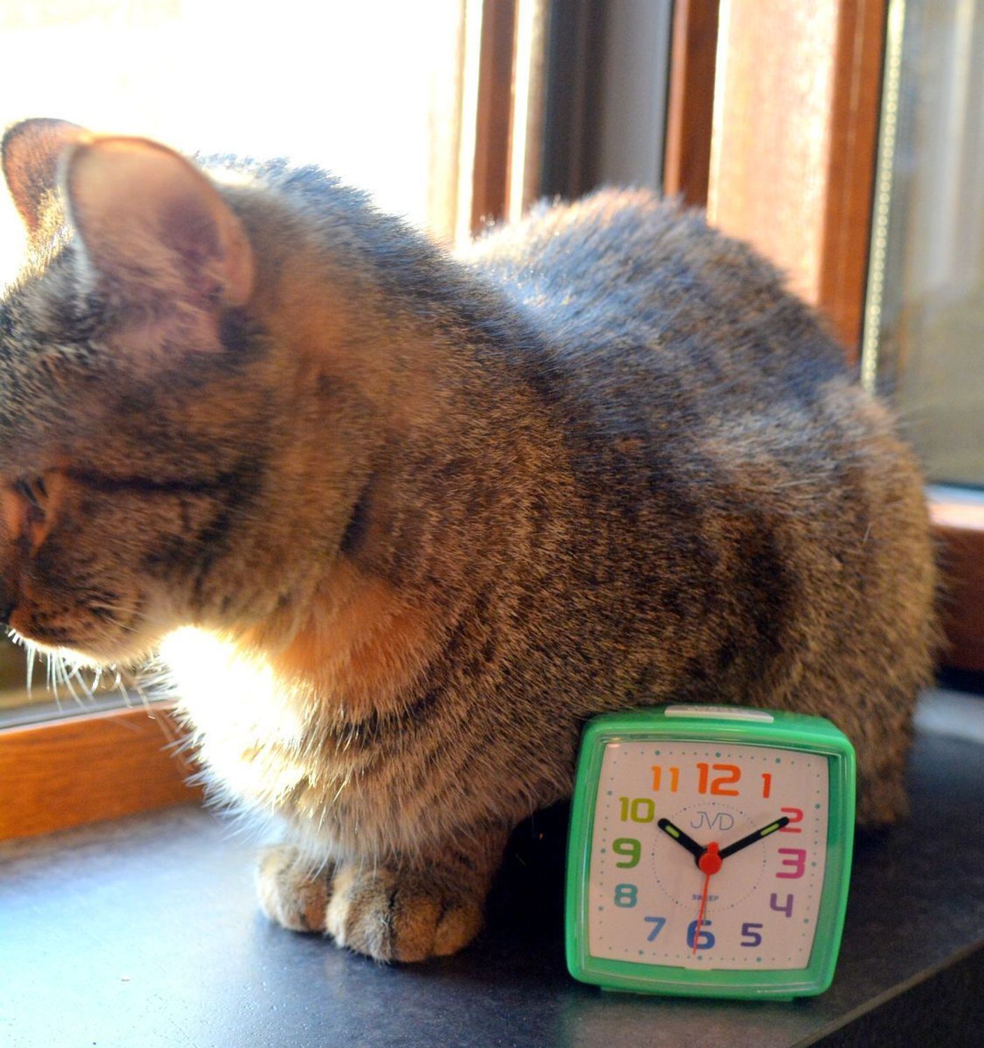 Budzik dziecięcy JVD cichy mechanizm kolorowe cyfry SRP2811.5 zielony. Budzik dziecięcy czerwony. Budzik mały dla dziecka. Budzik dziecięcy JVD. Budzik dziecięcy z cichym mechanizmem. Budzik dla dziecka na prezent..jpg