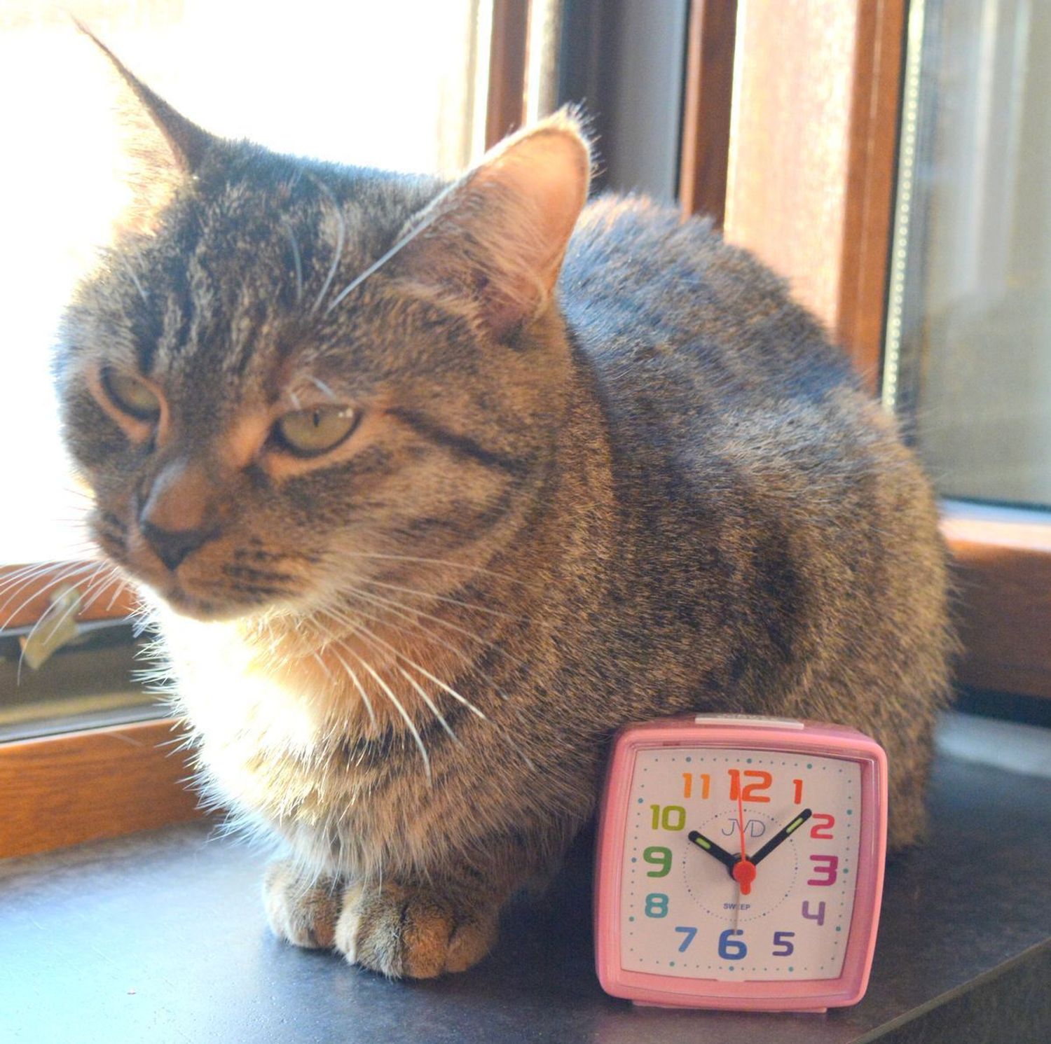 Budzik dziecięcy JVD cichy mechanizm kolorowe cyfry SRP2811.6 różowy.jpg