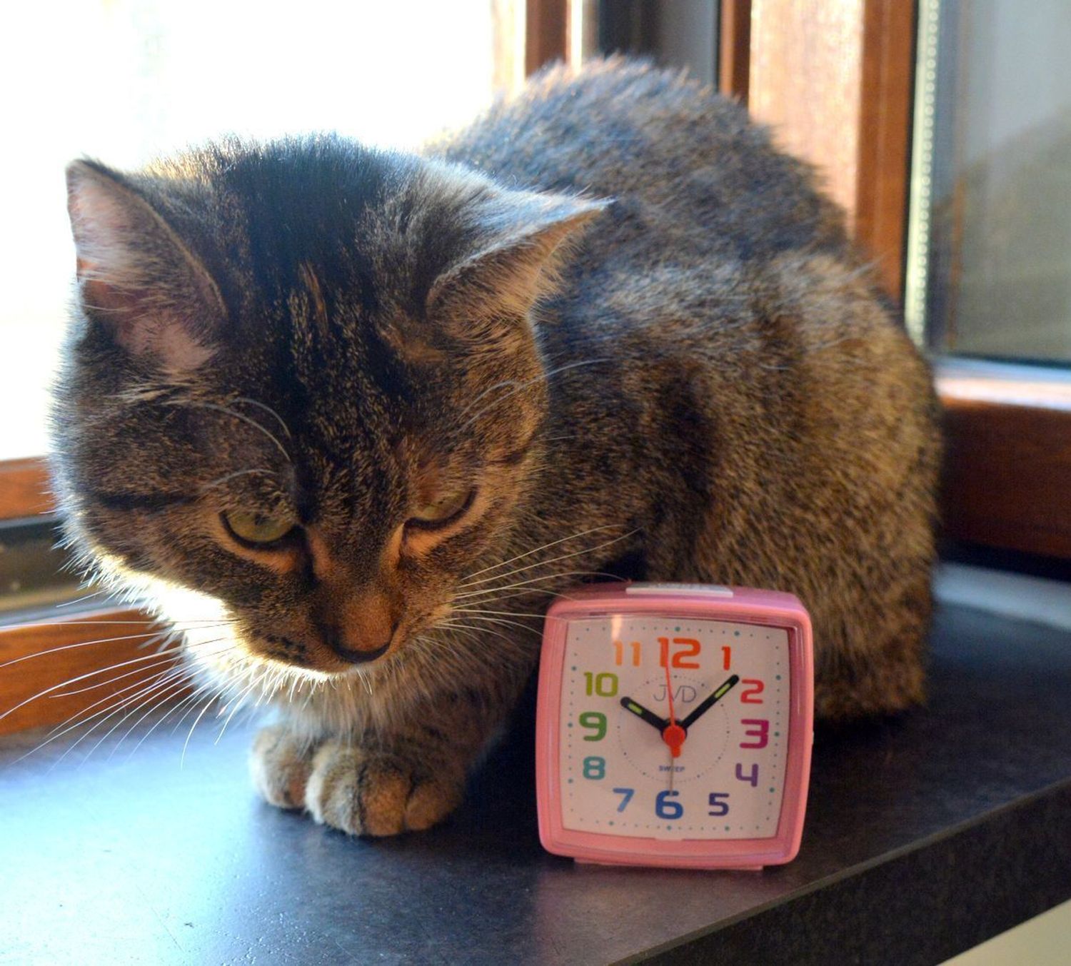 Budzik dziecięcy JVD cichy mechanizm kolorowe cyfry SRP2811.6 różowy.jpg