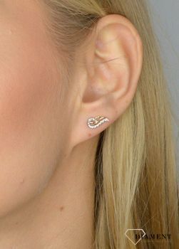 Kolczyki złote DIAMENT skrzydła, diamenty 0,04ct E71615YS Kolczyki złote z brylantami✓ Złote kolczyki ✓ Kolczyki wkrętki ✓ Małe kolczyki ✓ Złote kolczyki na sztyft (4).JPG