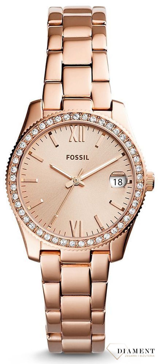 Zegarek damski Fossil Carlie Cecile ES4318x..jpg
