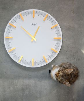 Zegar ścienny JVD biały nowoczesny design HC401.1. Białe dodatki do domu. Duży zegary do nowoczesnych wnętrz (4).JPG