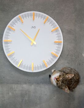 Zegar ścienny JVD biały nowoczesny design HC401.1. Białe dodatki do domu. Duży zegary do nowoczesnych wnętrz (5).JPG