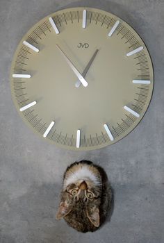 Zegar ścienny JVD oliwkowy nowoczesny design HC401.3. Oliwkowe dodatki do mieszkania. Zegar oliwkowy do nowoczesnych wnętrz (8).JPG