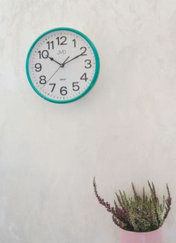 Zegar na ścianę do pokoju zielony JVD HP683.5 Zegar ścienny w obudowie w kolorze zielonym z białą wyraźna tarczą. Darmowa wysyłka! Zapraszamy na www.zegarki-diament (2).JPG