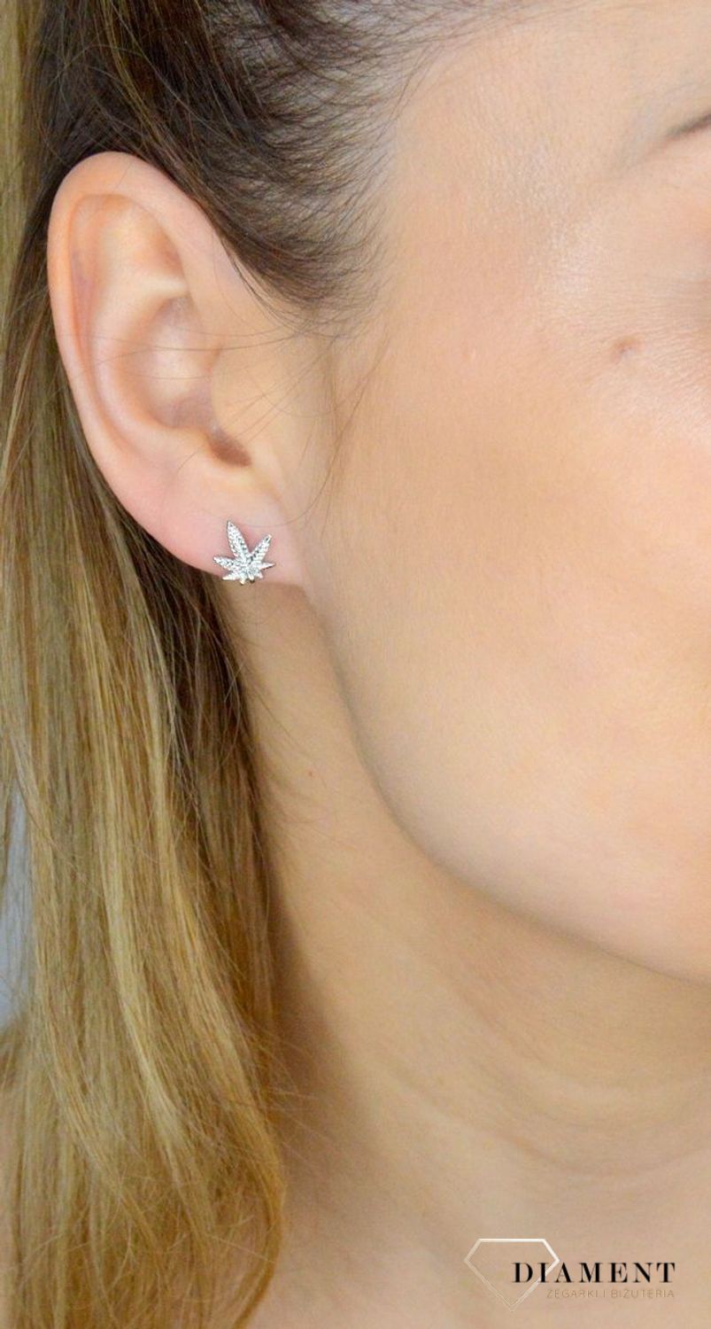 Srebrne kolczyki wkrętki 925 liść marihuany JMAN0493SE00. Srebrne kolczyki damskie. Kolczyki srebrne wkrętki. Kolczyki srebrne liść marihuany. Kolczyki damskie na prezent..jpg